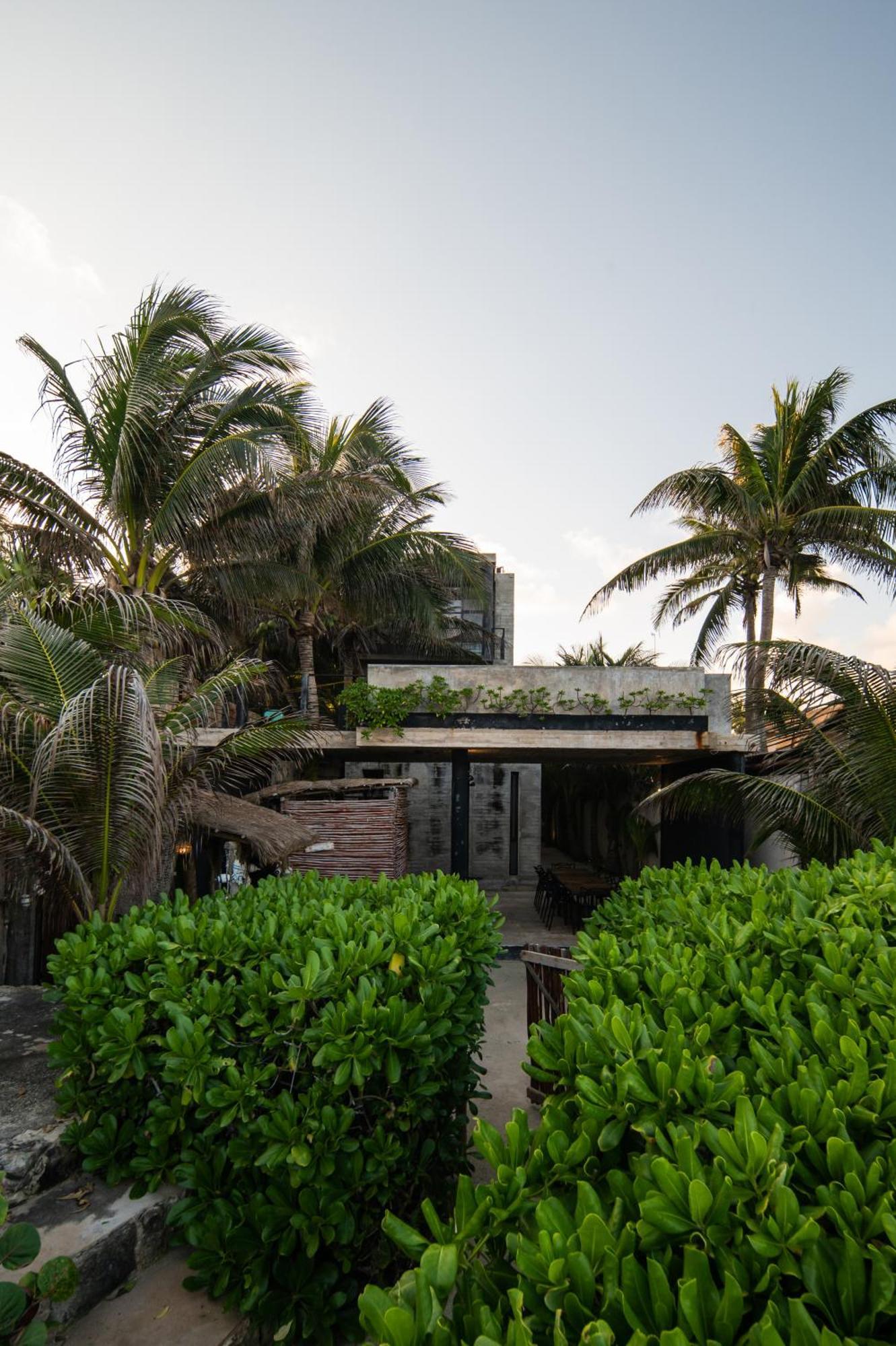 Tropicalito Villa On The Beach Tulum Exterior photo