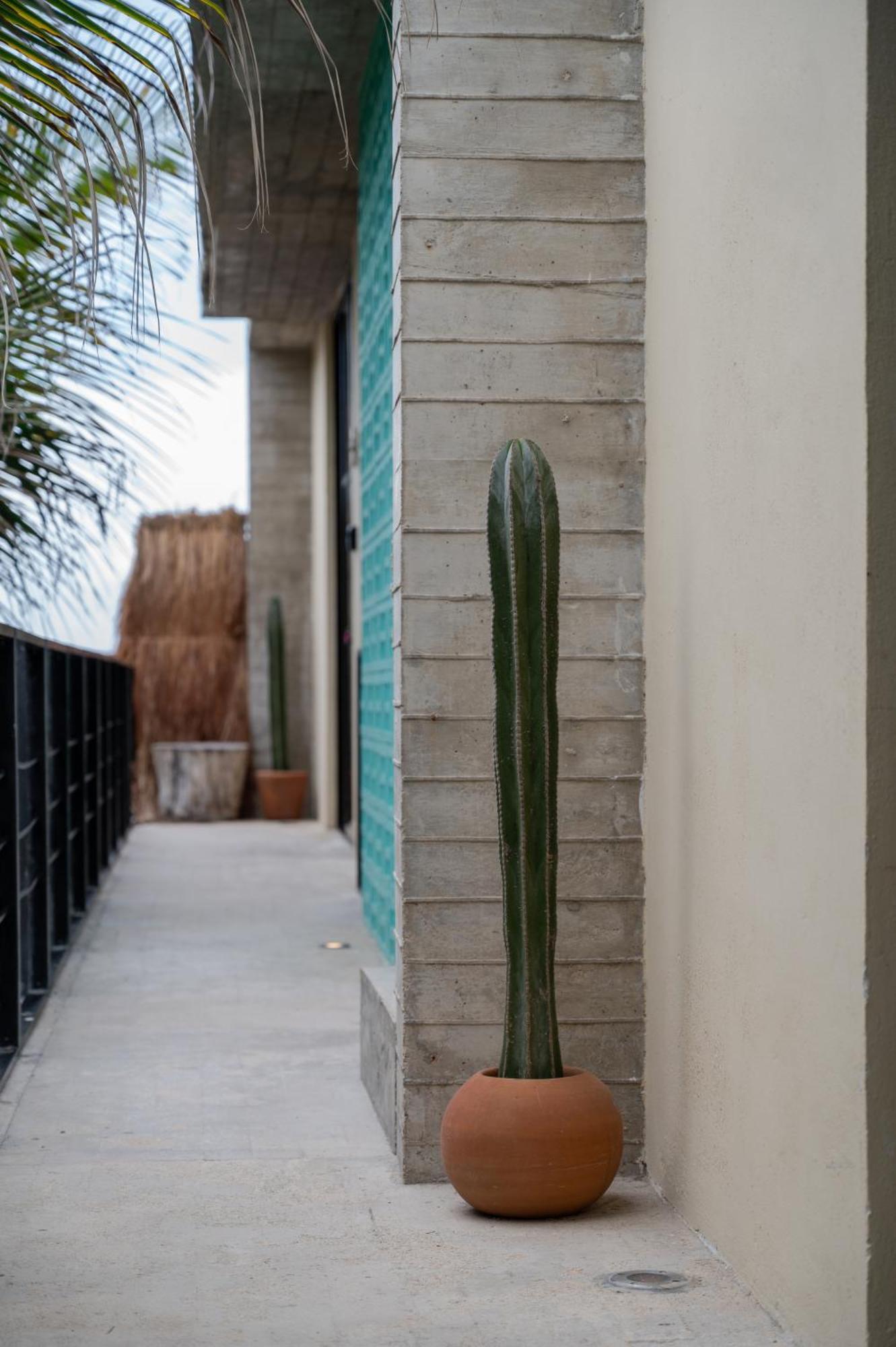 Tropicalito Villa On The Beach Tulum Exterior photo